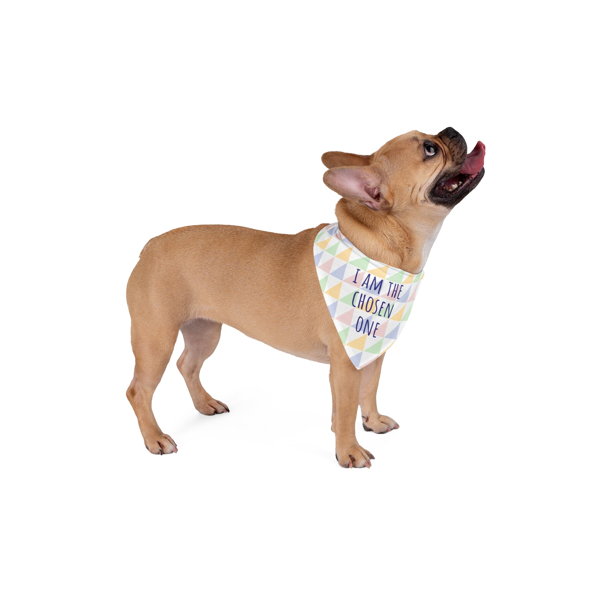 Pet Bandana "I am the chosen one"